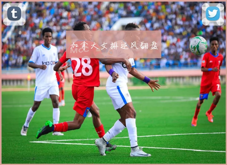 加拿大女排逆风翻盘